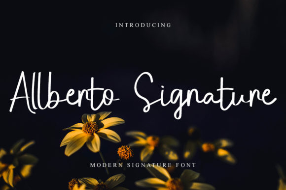 Allberto Signature: A Designer's Real-World Review