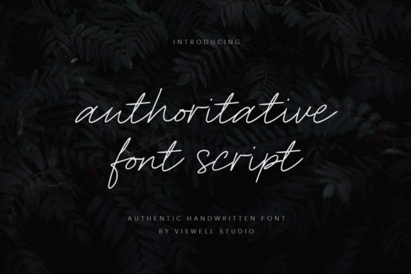 Authoritative: A Graceful Script Font for Branding