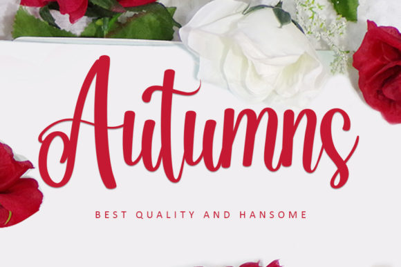 Autumns: A Refined Script Font for Web Design