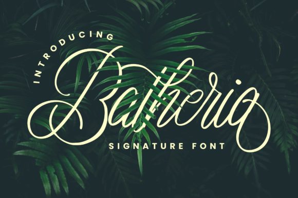 Batheria: A Refined Script Font for Elegant Branding