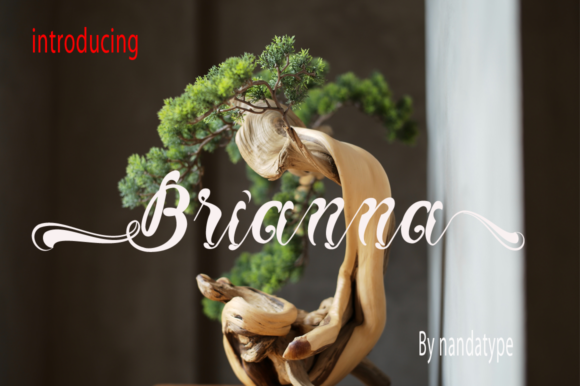 Brianna: A Luxury Script Font for Editorial Design