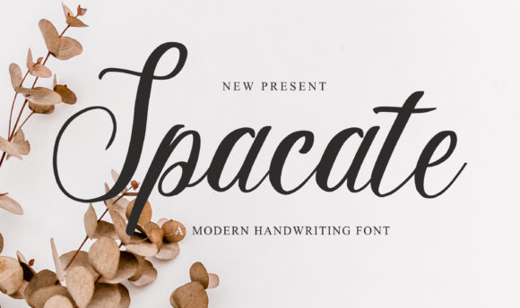 Spacate: The Elegant Script Font for Your Brand